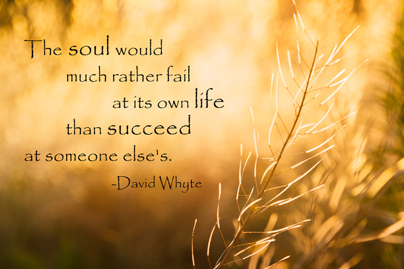 The soul would much rather fail at its own life than succeed at someone else's. -David Whyte
